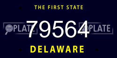 79564 Delaware License Plate