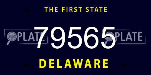 79565 Delaware License Plate