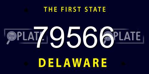 79566 Delaware License Plate