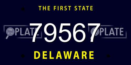 79567 Delaware License Plate