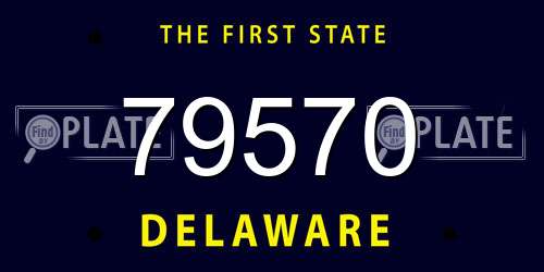 79570 Delaware License Plate