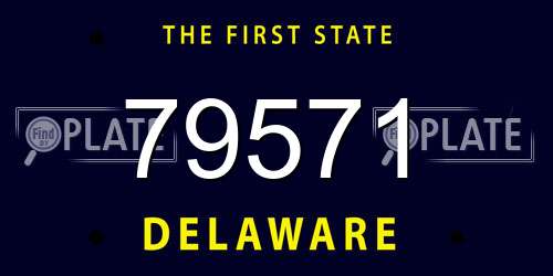 79571 Delaware License Plate