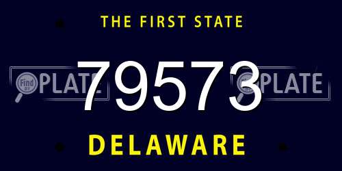79573 Delaware License Plate