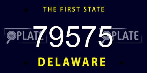 79575 Delaware License Plate