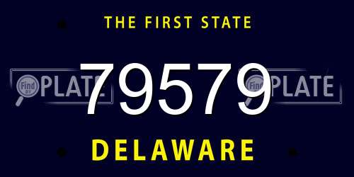 79579 Delaware License Plate
