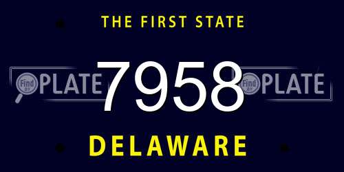7958 Delaware License Plate