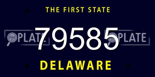 79585 Delaware License Plate