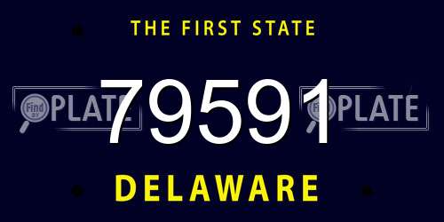 79591 Delaware License Plate