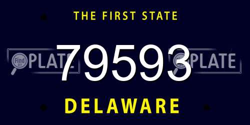 79593 Delaware License Plate