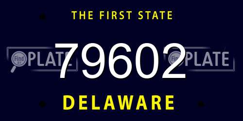79602 Delaware License Plate
