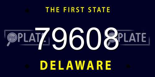 79608 Delaware License Plate