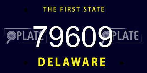 79609 Delaware License Plate