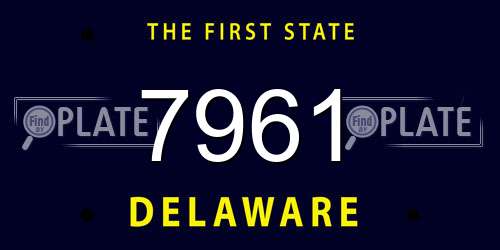 7961 Delaware License Plate