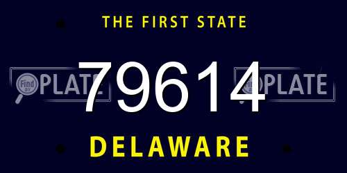 79614 Delaware License Plate
