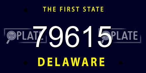 79615 Delaware License Plate