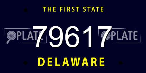 79617 Delaware License Plate