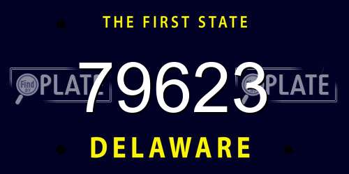 79623 Delaware License Plate