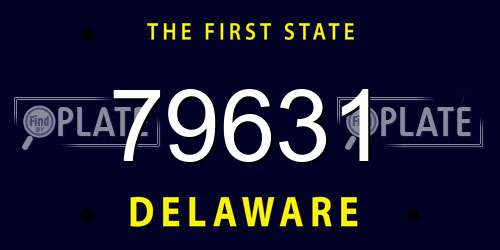 79631 Delaware License Plate