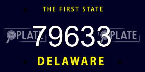 79633 Delaware License Plate