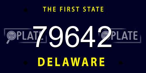 79642 Delaware License Plate