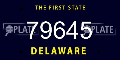 79645 Delaware License Plate