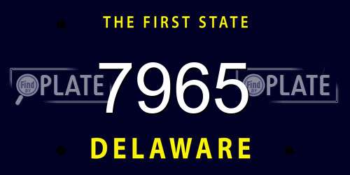 7965 Delaware License Plate