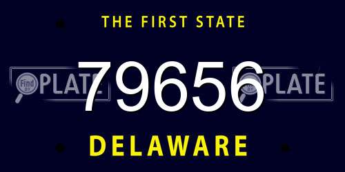 79656 Delaware License Plate