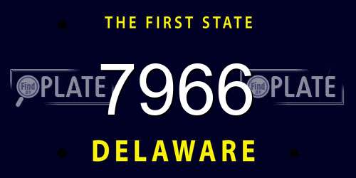 7966 Delaware License Plate