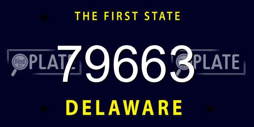 79663 Delaware License Plate