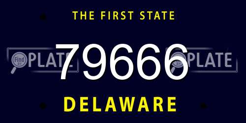 79666 Delaware License Plate
