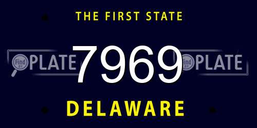7969 Delaware License Plate