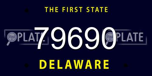 79690 Delaware License Plate
