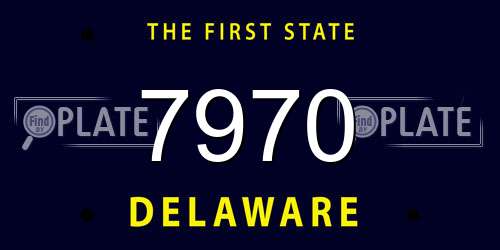 7970 Delaware License Plate