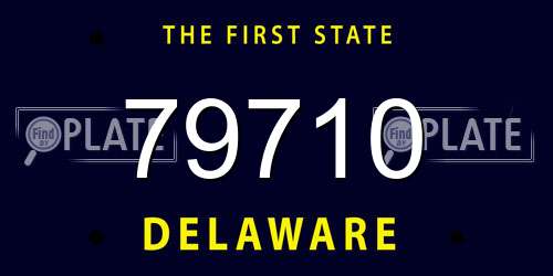 79710 Delaware License Plate