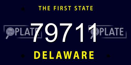 79711 Delaware License Plate