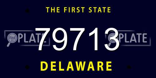 79713 Delaware License Plate