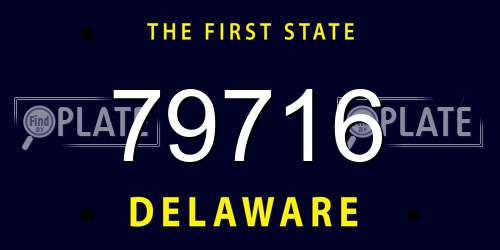 79716 Delaware License Plate