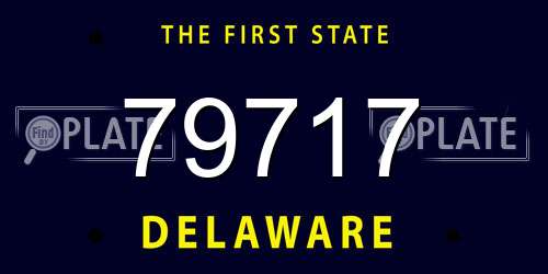 79717 Delaware License Plate