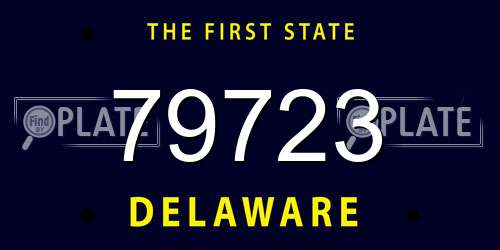 79723 Delaware License Plate