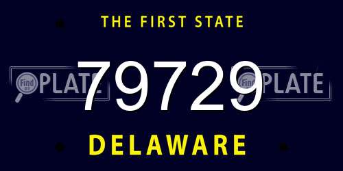 79729 Delaware License Plate