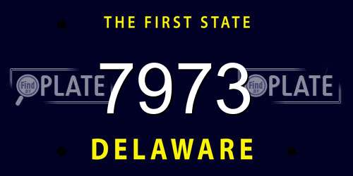 7973 Delaware License Plate