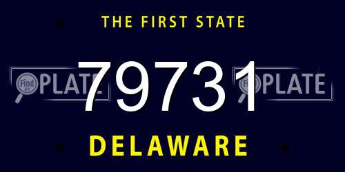 79731 Delaware License Plate