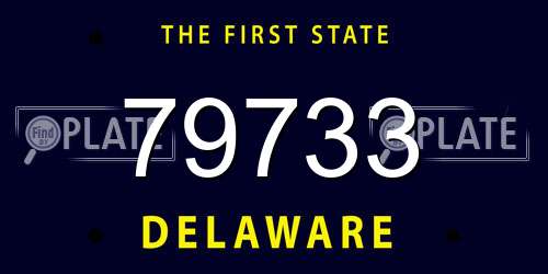 79733 Delaware License Plate
