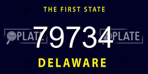 79734 Delaware License Plate