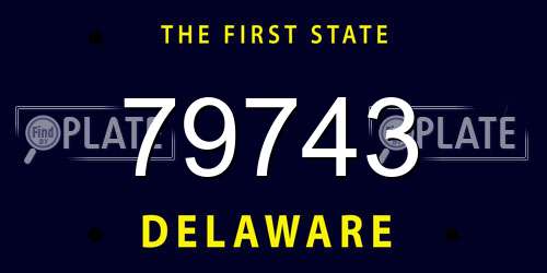 79743 Delaware License Plate