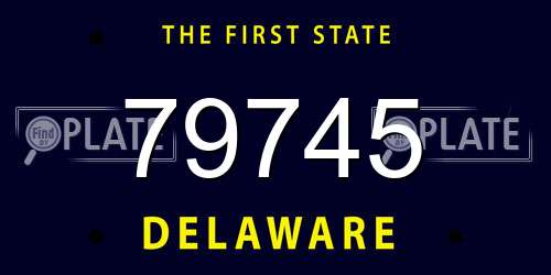 79745 Delaware License Plate