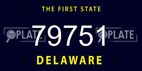 79751 Delaware License Plate