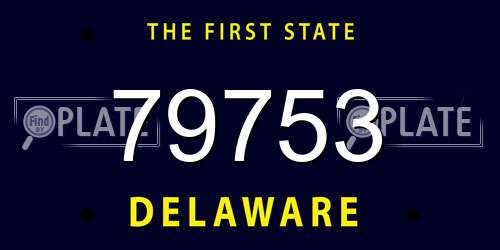 79753 Delaware License Plate