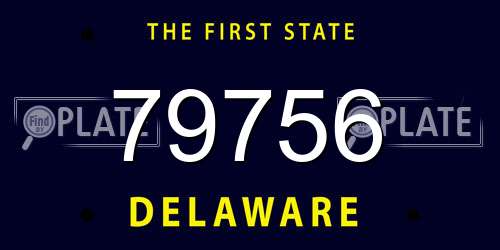 79756 Delaware License Plate