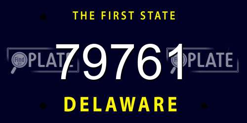 79761 Delaware License Plate